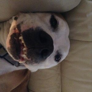 Meet your Posher, Parker